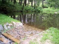 Obnova drobné vodní plochy - tůně a mokřad v lesním areálu Pávov